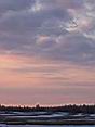 IMG_2810.jpg