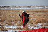 DSC_0341.jpg